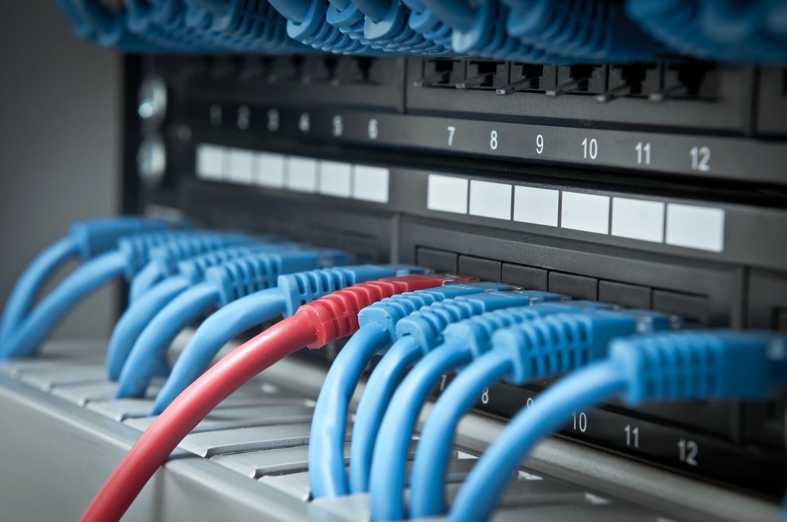 Network panel with connected ethernet cables