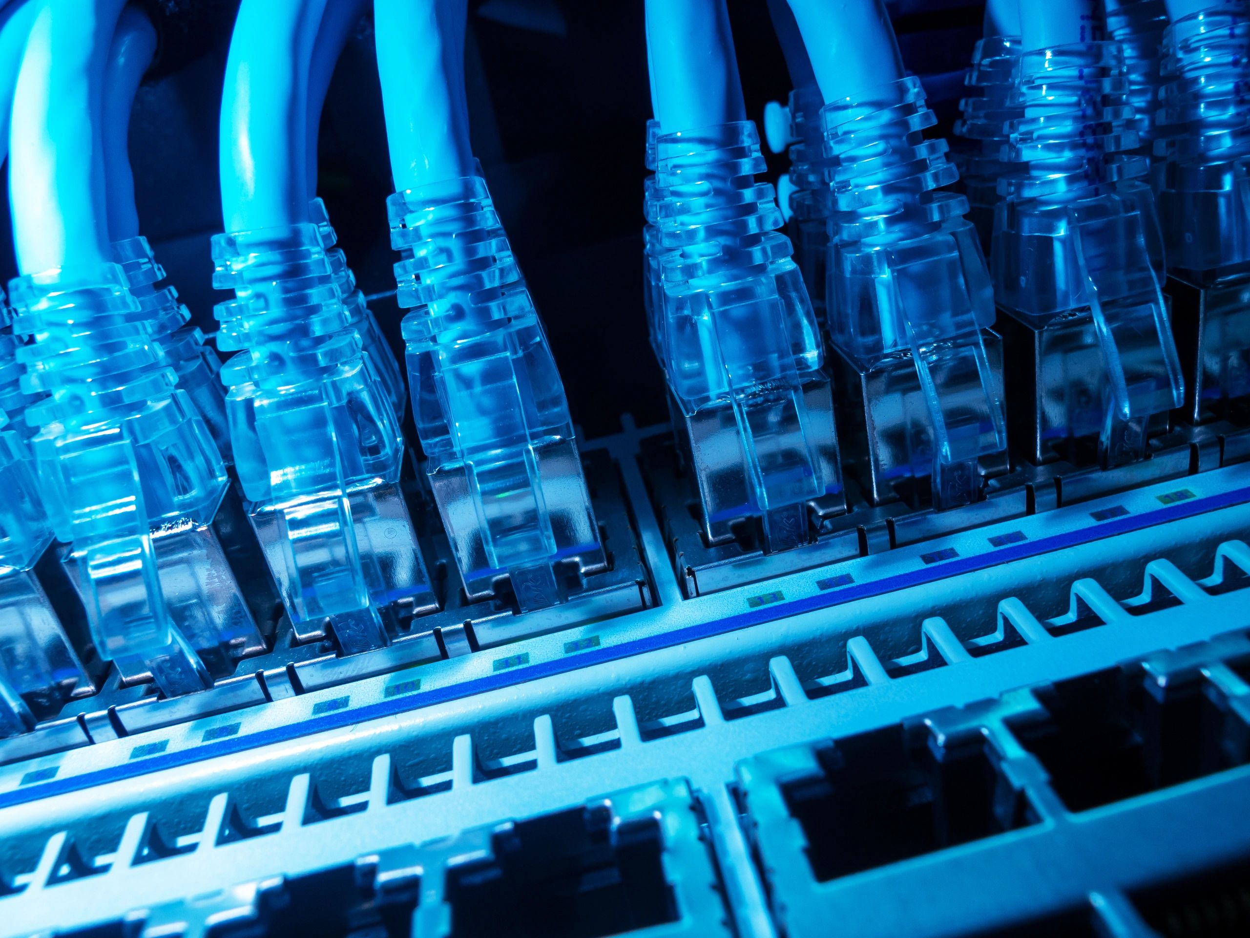 Blue Ethernet cables connected to a network switch