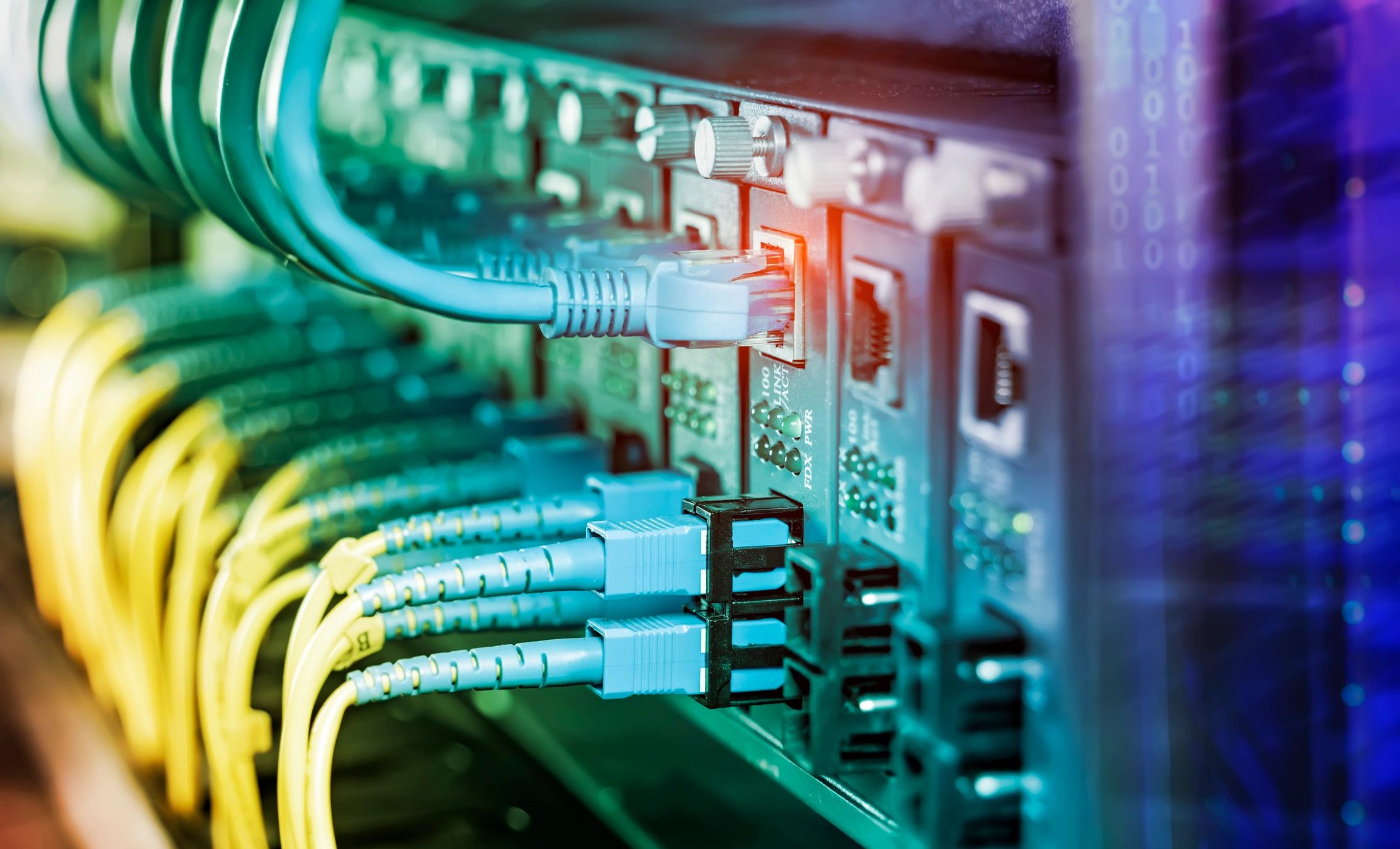 Fiber optic and network cables